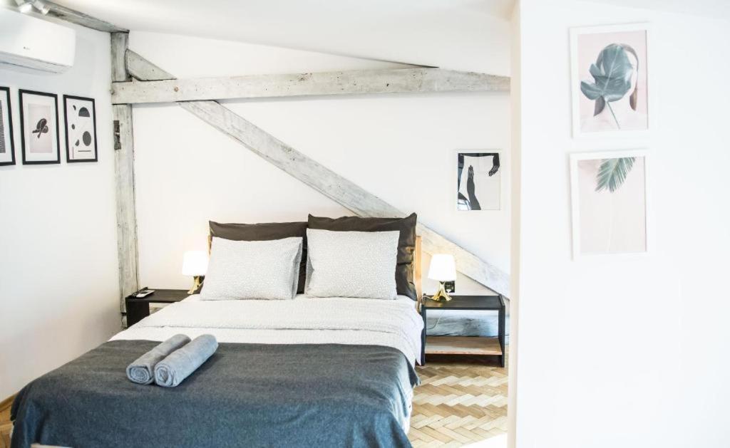 Lion Apartments - Silver Krakow Luaran gambar